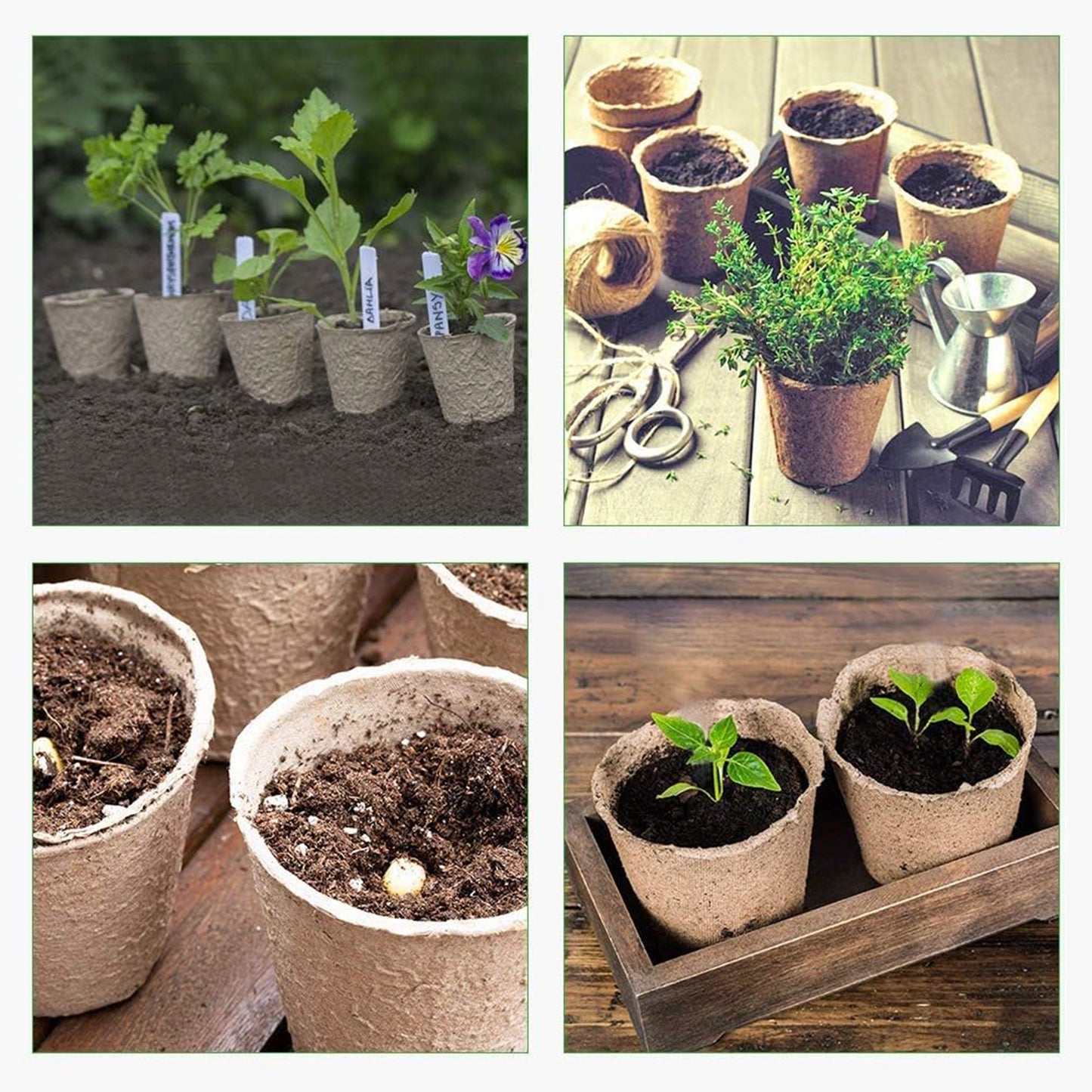 GROWNEER 60pcs 3in Peat Pots Plant Starters With 15 Pcs Plant Labels
