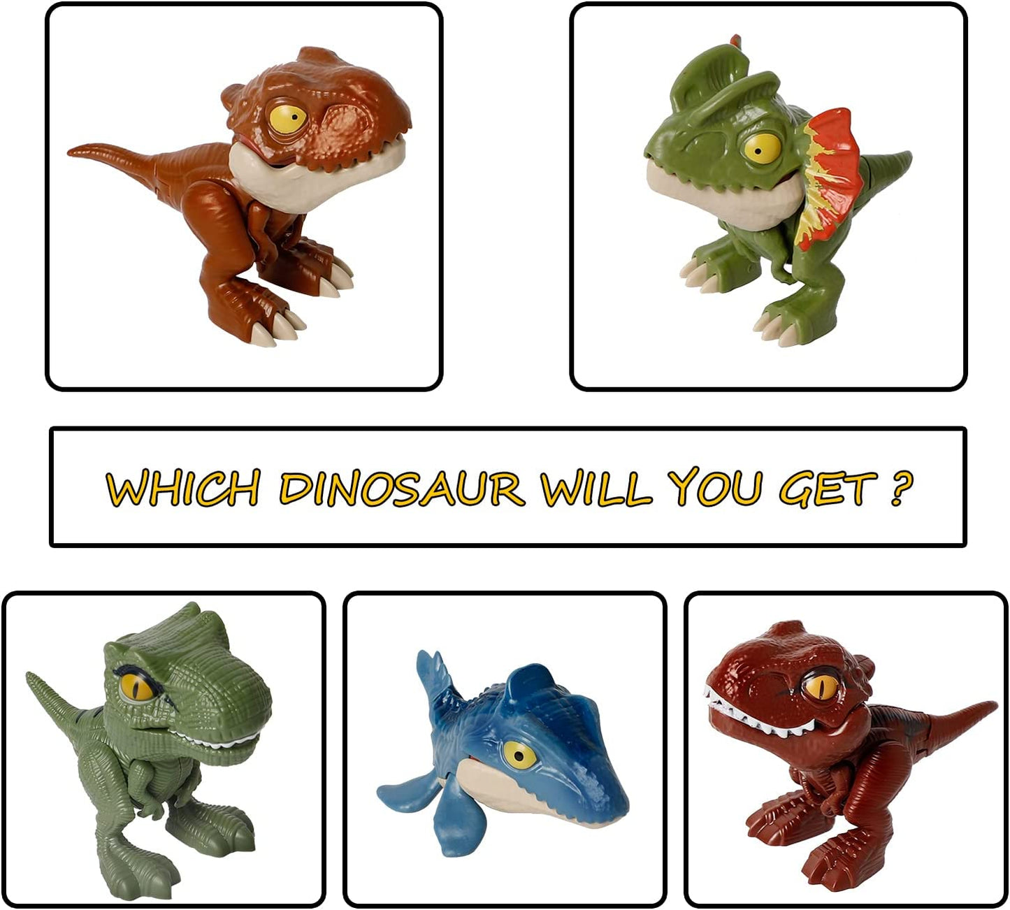 Dinosaur Eggs - Random Dinosaur