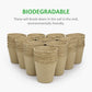 GROWNEER 60pcs 3in Peat Pots Plant Starters With 15 Pcs Plant Labels
