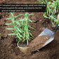 GROWNEER 60pcs 3in Peat Pots Plant Starters With 15 Pcs Plant Labels