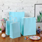 Kraft Paper Gift Bags (Set of 30/35/10)