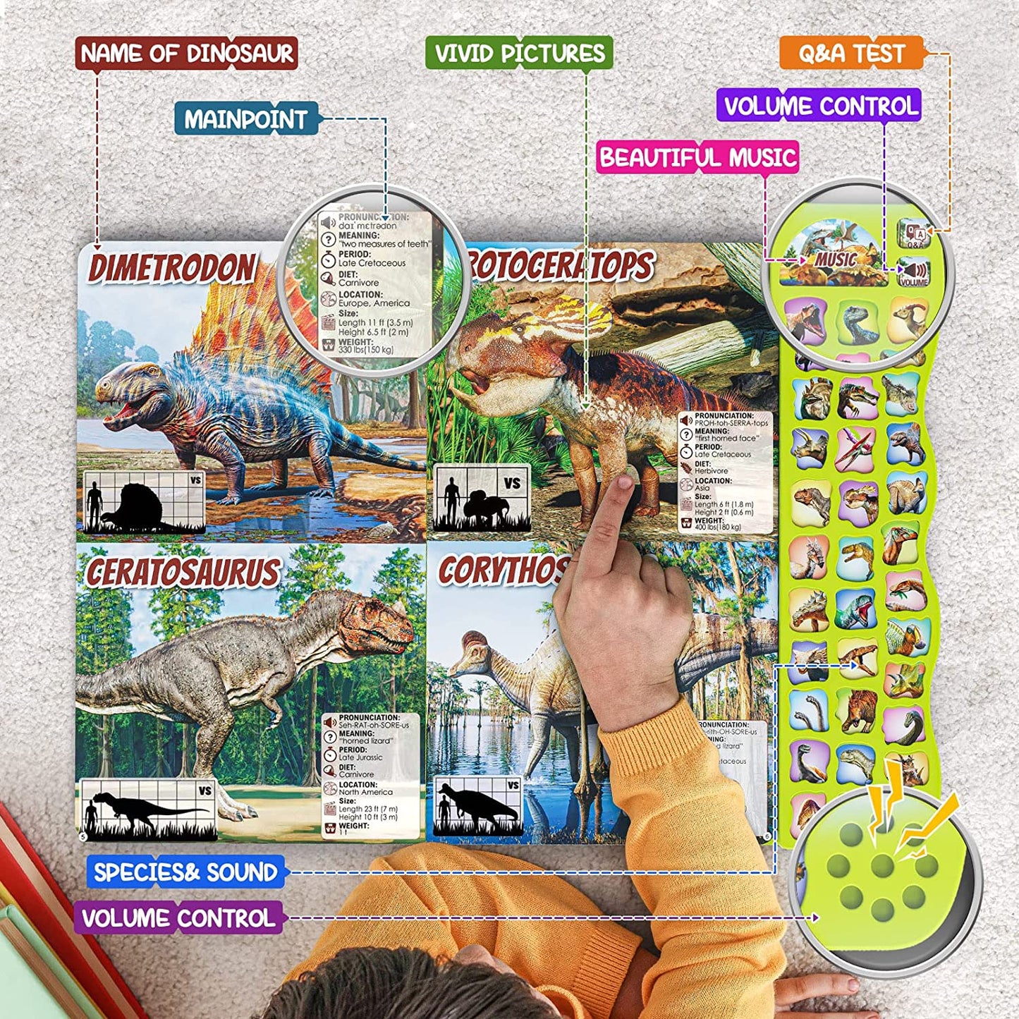 Kids Ancient TIme Dinosaur Study Sounds Book